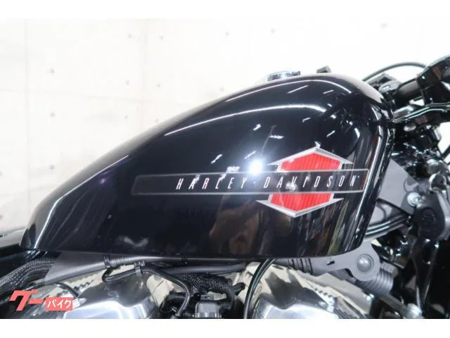 HARLEY-DAVIDSON XL1200X ETC2.0 USB 71780 2022 — миниатюра 5