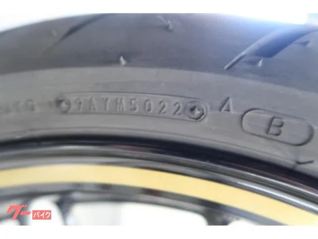Kawasaki Z900RS ETC 73680 2023 — миниатюра 4