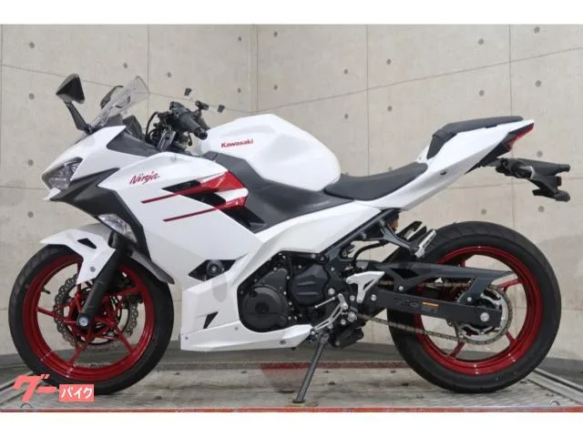 Kawasaki Ninja 250 EX250Y 76086 2023 — миниатюра 2