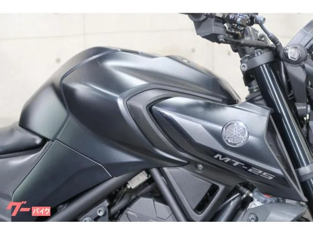 Yamaha MT-25 RG74J ABS LED 76503 2022 — миниатюра 2