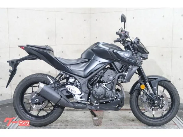 Yamaha MT-25 RG74J ABS LED 76503 2022 — фото 1, купить с доставкой в Москву