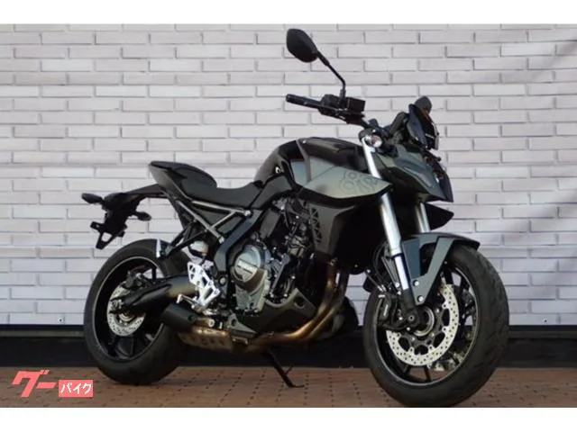 Suzuki GSX-8S 2023 — фото 1, купить с доставкой в Москву