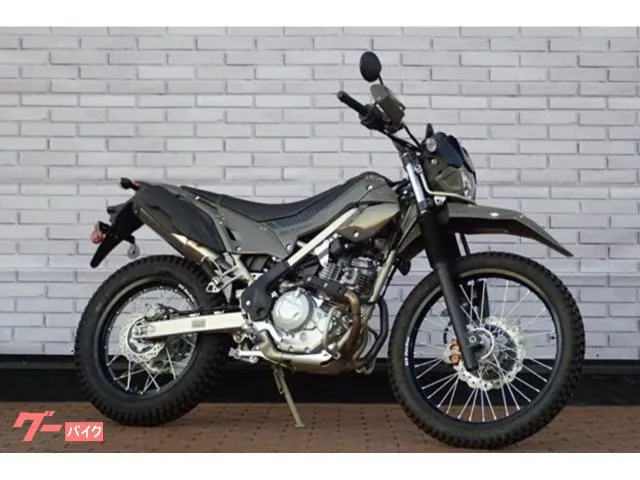 Kawasaki KLX230 2026 — фото 1, купить с доставкой в Москву