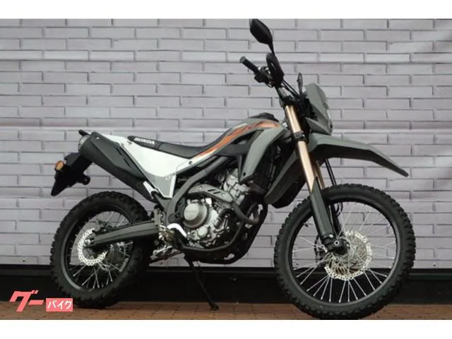 Honda CRF250L 2023 — фото 1, купить с доставкой в Москву