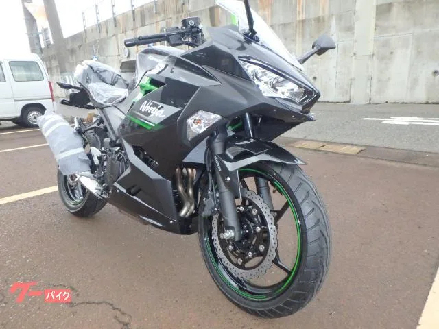 Kawasaki Ninja 250 2024 — миниатюра 2
