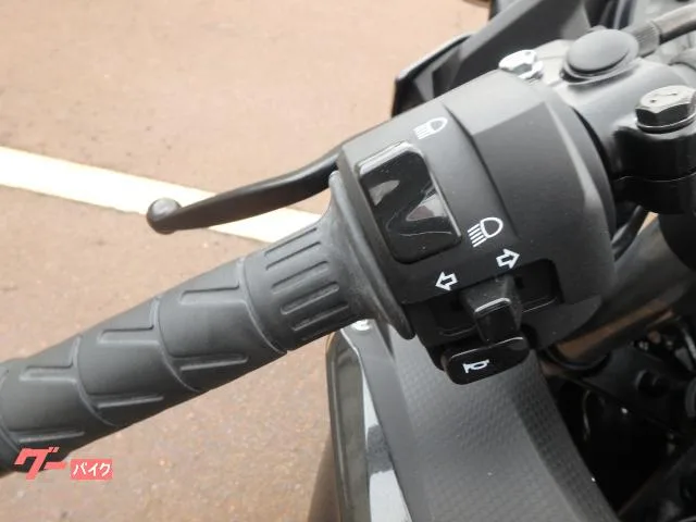 Kawasaki Ninja 250 2024 — миниатюра 3