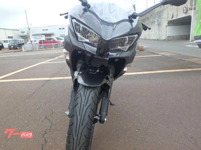 Kawasaki Ninja 250 2024 — миниатюра 4
