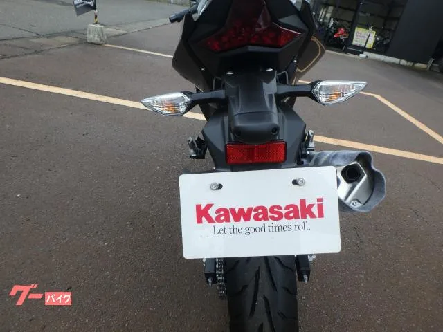 Kawasaki Ninja 250 2024 — миниатюра 5