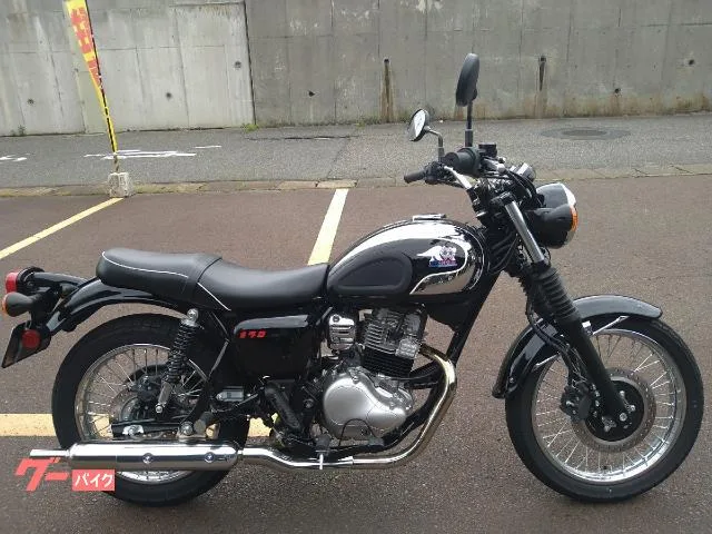 Kawasaki S1 2025 — фото 1, купить с доставкой в Москву