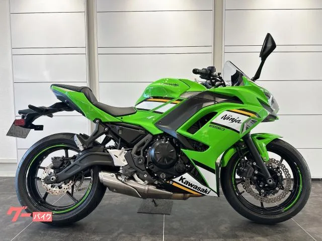 Kawasaki Ninja 650 2025 — миниатюра 2