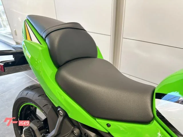 Kawasaki Ninja 650 2025 — миниатюра 3