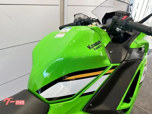 Kawasaki Ninja 650 2025 — миниатюра 5
