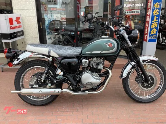 Kawasaki W230 2026 8BK-BJ230A / 2026 — фото 1, купить с доставкой в Москву
