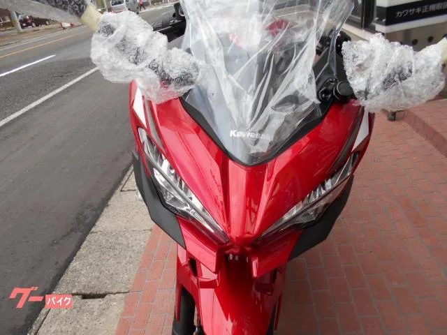 Kawasaki Ninja 250 EX250P 2023 — миниатюра 2