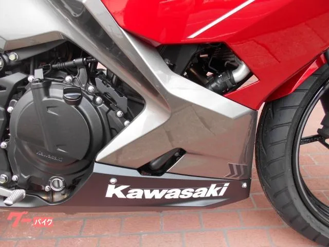 Kawasaki Ninja 250 EX250P 2023 — миниатюра 5