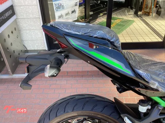 Kawasaki Z250 EX250Y 2025 — миниатюра 3