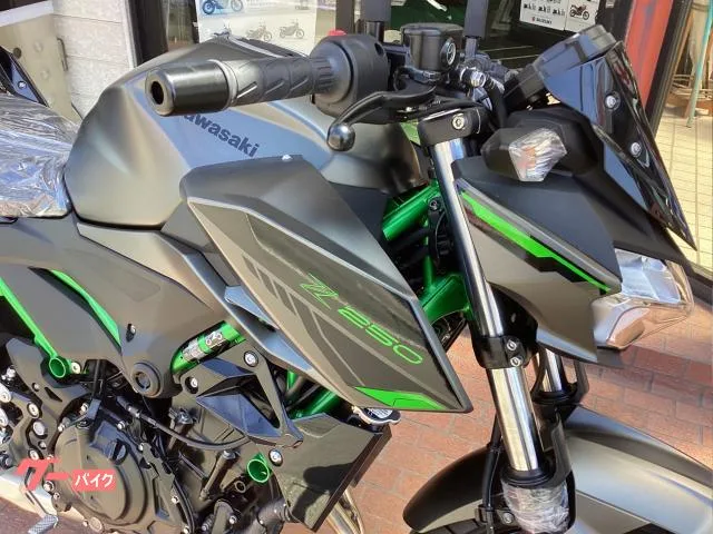 Kawasaki Z250 EX250Y 2025 — миниатюра 4