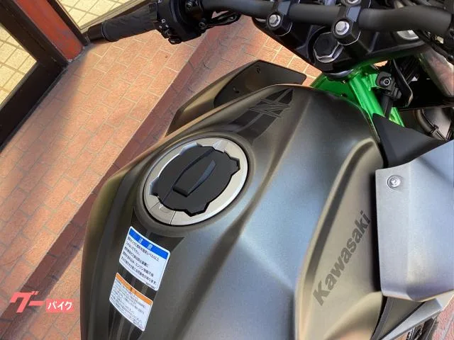 Kawasaki Z250 EX250Y 2025 — миниатюра 5