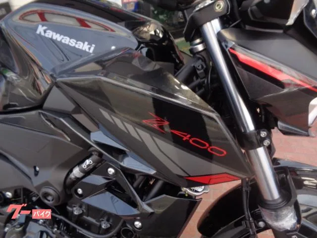 Kawasaki Z400 8BL-EX400L 2025 — миниатюра 5