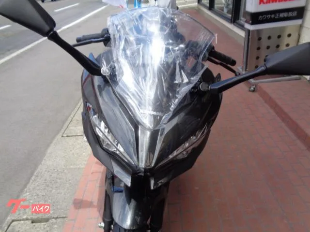 Kawasaki Ninja 250 EX250Y 2025 — миниатюра 2