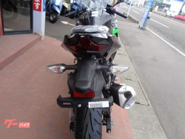 Kawasaki Ninja 250 EX250Y 2025 — миниатюра 5