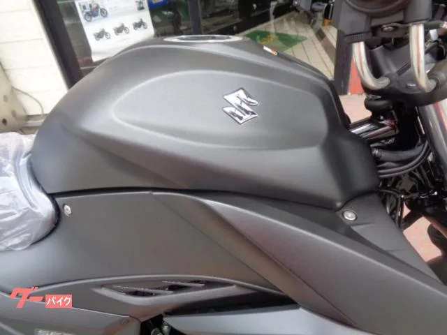 Suzuki GIXXER 250 No.2 2024 — миниатюра 4