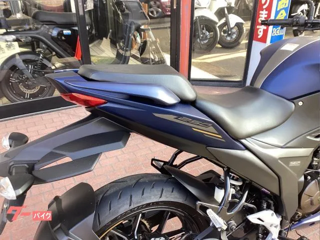 Suzuki GIXXER 250 2023 — миниатюра 2