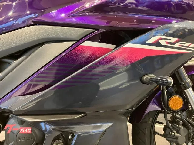 Yamaha YZF-R25 ETC 2023 — миниатюра 3