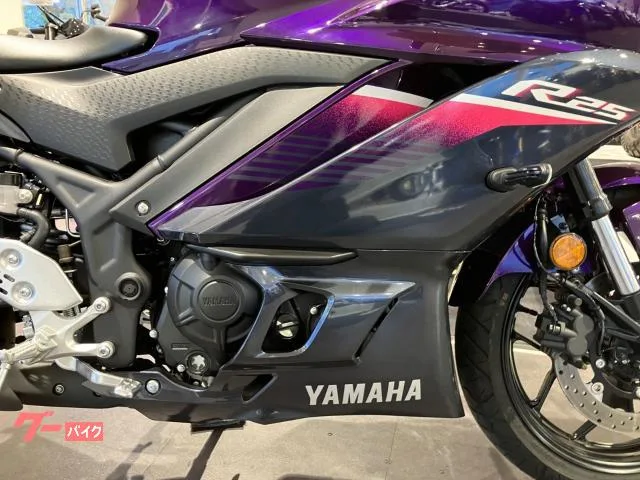 Yamaha YZF-R25 ETC 2023 — миниатюра 4