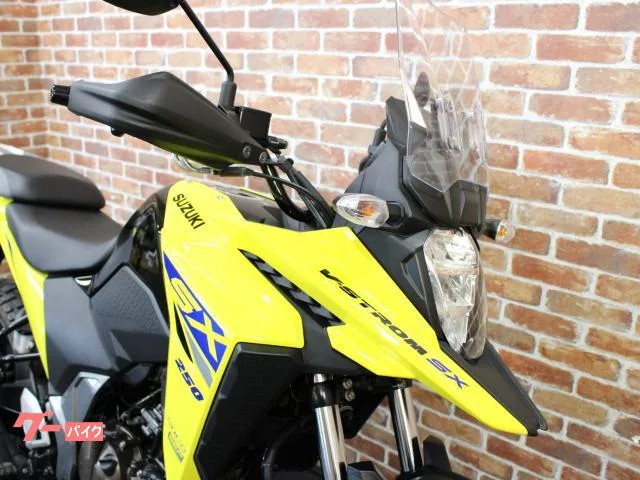 Suzuki V- 250SX 2023 — миниатюра 2