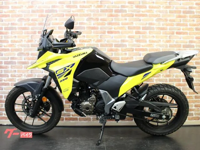 Suzuki V- 250SX 2023 — миниатюра 3