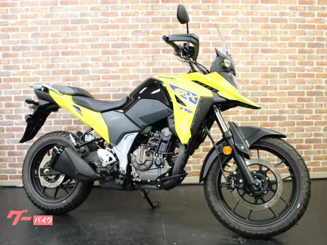 Suzuki V- 250SX 2023 — миниатюра 5