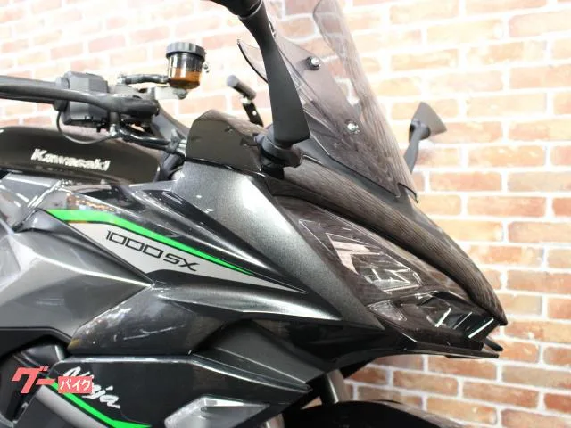 Kawasaki Ninja 1000 SX R 2024 — миниатюра 2