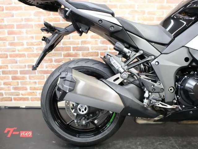 Kawasaki Ninja 1000 SX R 2024 — миниатюра 4