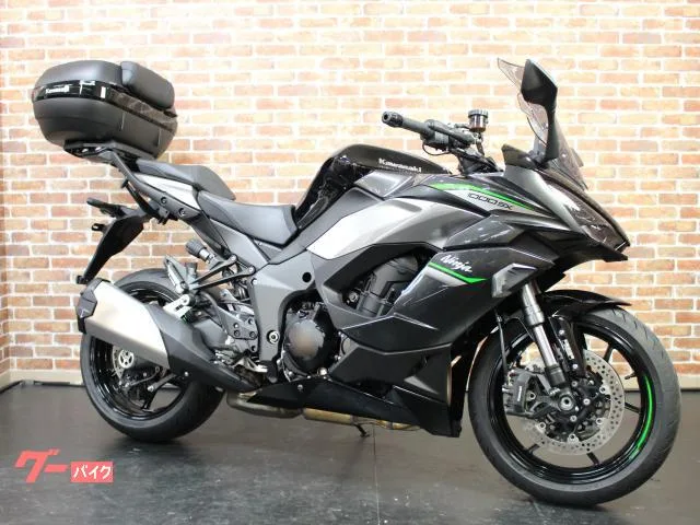 Kawasaki Ninja 1000 SX R 2024 — миниатюра 5