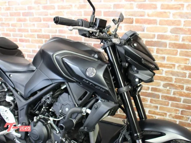 Yamaha MT-25 ETC USB 2022 — миниатюра 2