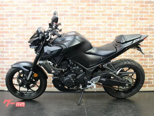 Yamaha MT-25 ETC USB 2022 — миниатюра 3