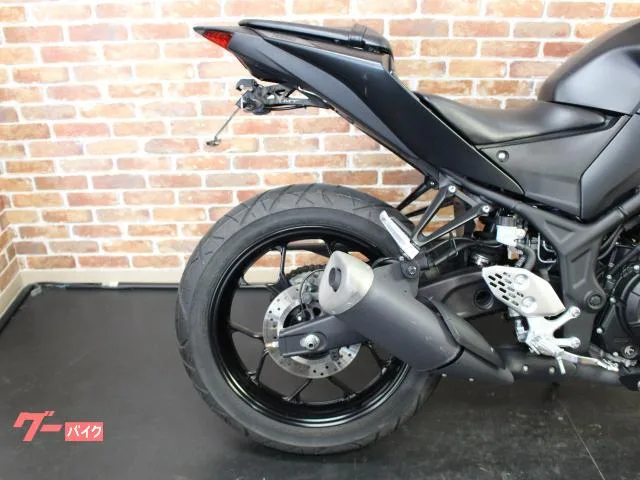 Yamaha MT-25 ETC USB 2022 — миниатюра 4