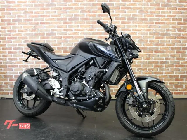 Yamaha MT-25 ETC USB 2022 — миниатюра 5