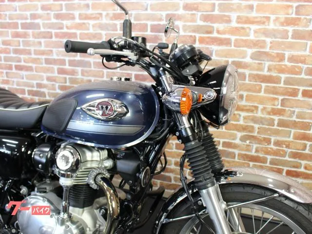 Kawasaki W800 ETC2.0 2023 — миниатюра 2