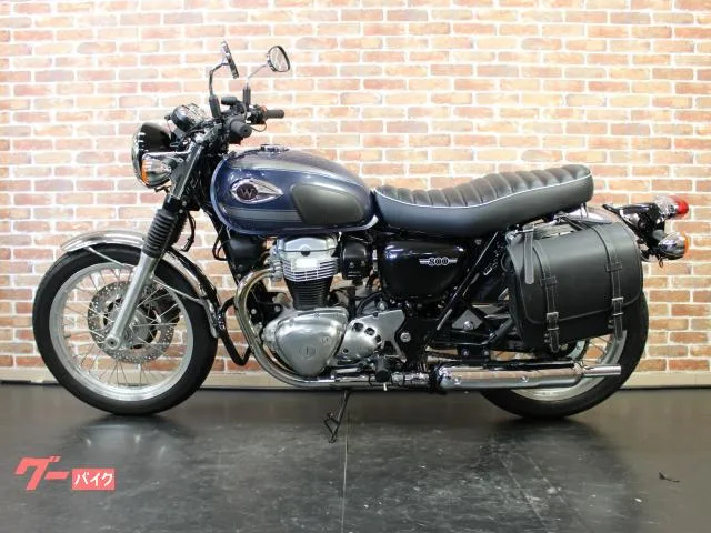 Kawasaki W800 ETC2.0 2023 — миниатюра 3