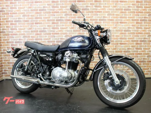 Kawasaki W800 ETC2.0 2023 — миниатюра 5
