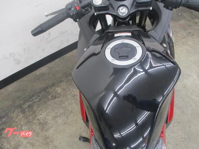 Suzuki GSX250R M4 2024 — миниатюра 5