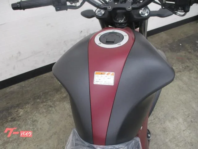 Suzuki GIXXER 250 M5 /No.2 2025 — миниатюра 2