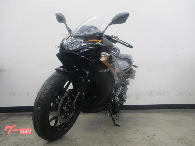 Suzuki GSX250R 2026 — миниатюра 5
