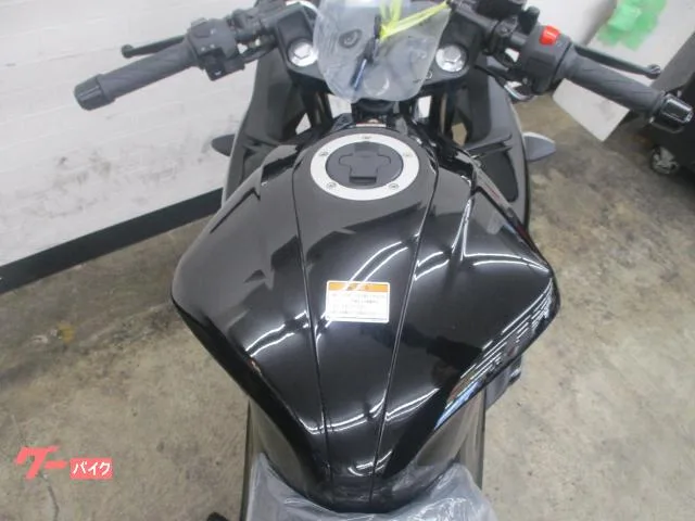 Suzuki GIXXER SF 250 2026 — миниатюра 4