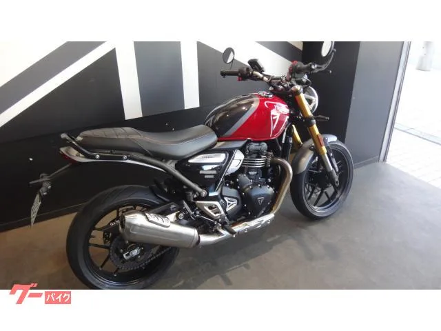 TRIUMPH 400 2024 — миниатюра 2