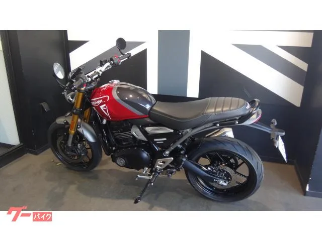 TRIUMPH 400 2024 — миниатюра 5