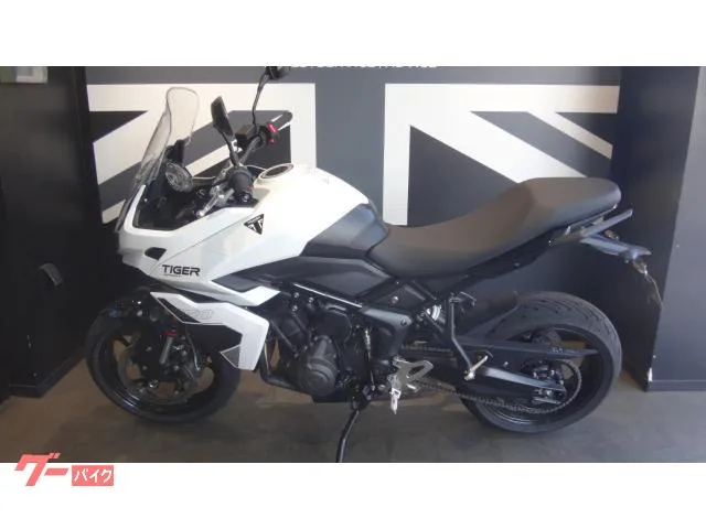 TRIUMPH 660 2026 — миниатюра 4