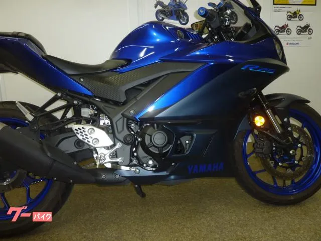 Yamaha YZF-R25 2023 — миниатюра 4